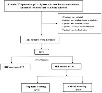 Serum cholinesterase as a new nutritional indicator for predicting weaning failure in patients